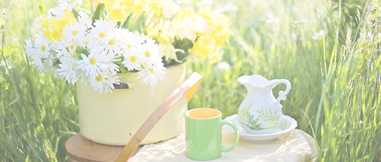 休日におすすめ特集