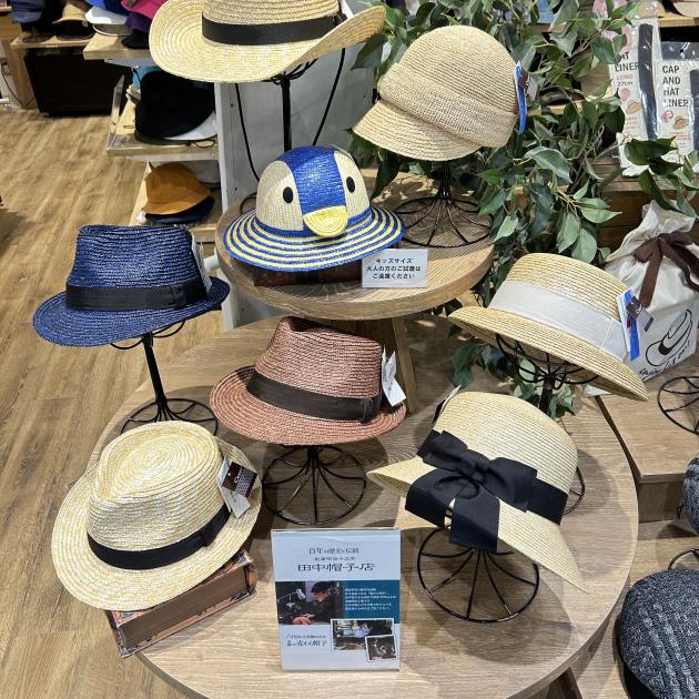 画像 -20240420-062609-91f9db07.jpeg