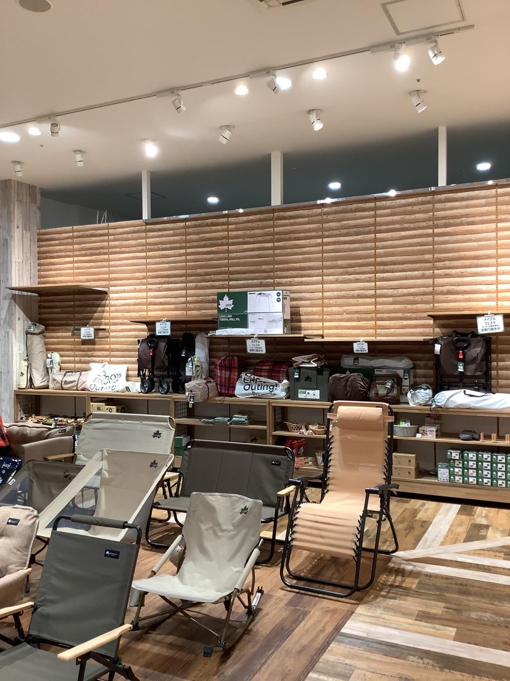 image_123923953 (2).JPG