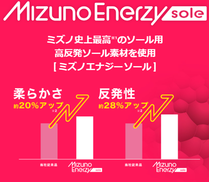 ミズノエナジー概要.png